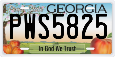 GA license plate PWS5825