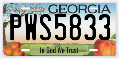 GA license plate PWS5833
