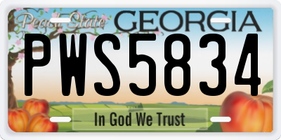 GA license plate PWS5834