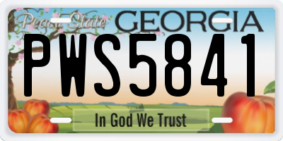 GA license plate PWS5841