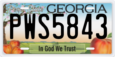 GA license plate PWS5843