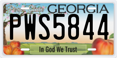 GA license plate PWS5844
