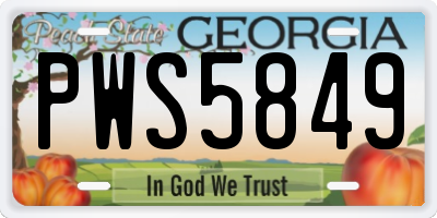 GA license plate PWS5849