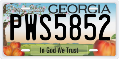 GA license plate PWS5852