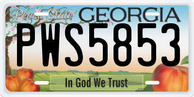 GA license plate PWS5853