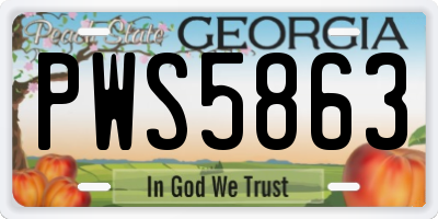 GA license plate PWS5863