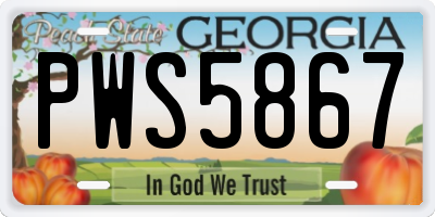 GA license plate PWS5867