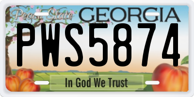 GA license plate PWS5874