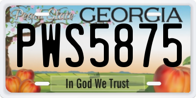 GA license plate PWS5875