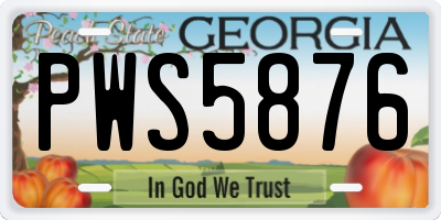 GA license plate PWS5876