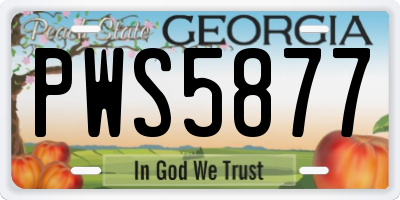 GA license plate PWS5877