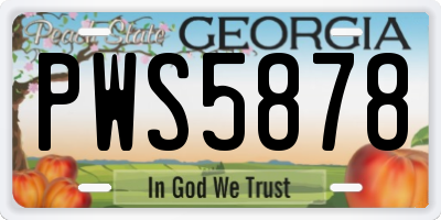 GA license plate PWS5878