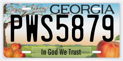 GA license plate PWS5879