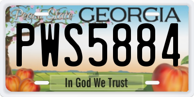 GA license plate PWS5884