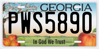 GA license plate PWS5890