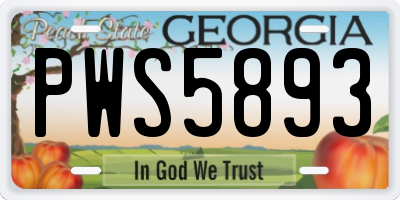 GA license plate PWS5893