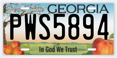 GA license plate PWS5894