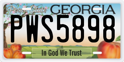 GA license plate PWS5898