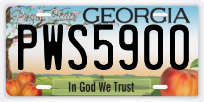 GA license plate PWS5900
