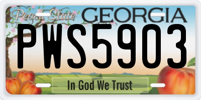 GA license plate PWS5903
