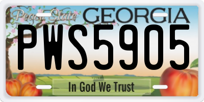 GA license plate PWS5905