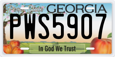 GA license plate PWS5907