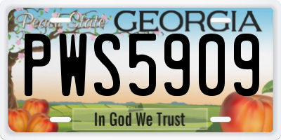 GA license plate PWS5909