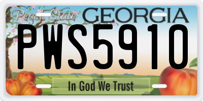 GA license plate PWS5910