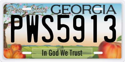 GA license plate PWS5913