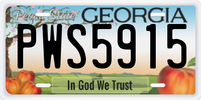 GA license plate PWS5915