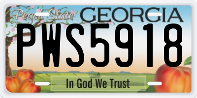 GA license plate PWS5918