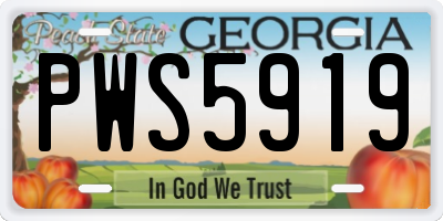 GA license plate PWS5919