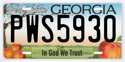 GA license plate PWS5930