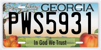 GA license plate PWS5931