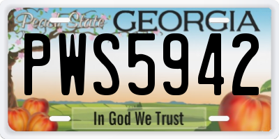 GA license plate PWS5942