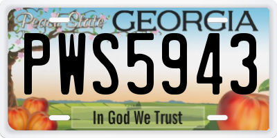 GA license plate PWS5943