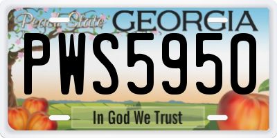 GA license plate PWS5950