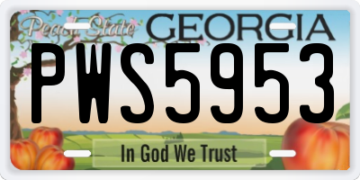 GA license plate PWS5953