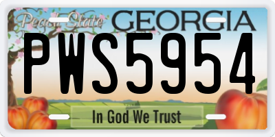 GA license plate PWS5954