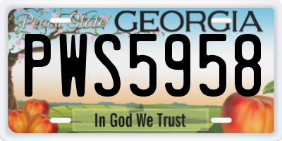 GA license plate PWS5958