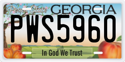 GA license plate PWS5960