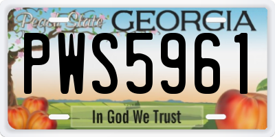 GA license plate PWS5961