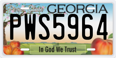 GA license plate PWS5964