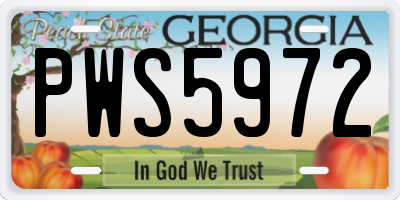 GA license plate PWS5972