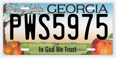 GA license plate PWS5975