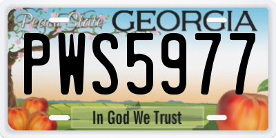GA license plate PWS5977
