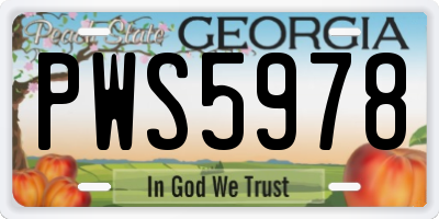 GA license plate PWS5978
