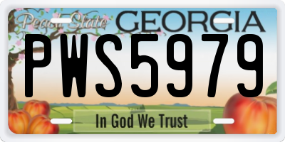 GA license plate PWS5979