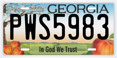 GA license plate PWS5983