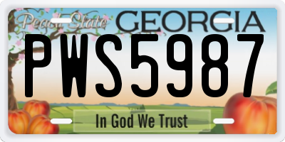 GA license plate PWS5987